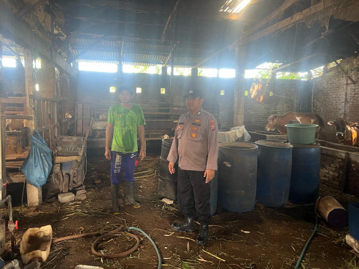 Bhabinkamtibmas Desa Pekarungan Cek Program Ketahanan Pangan P2B Peternakan Kambing dan Sapi