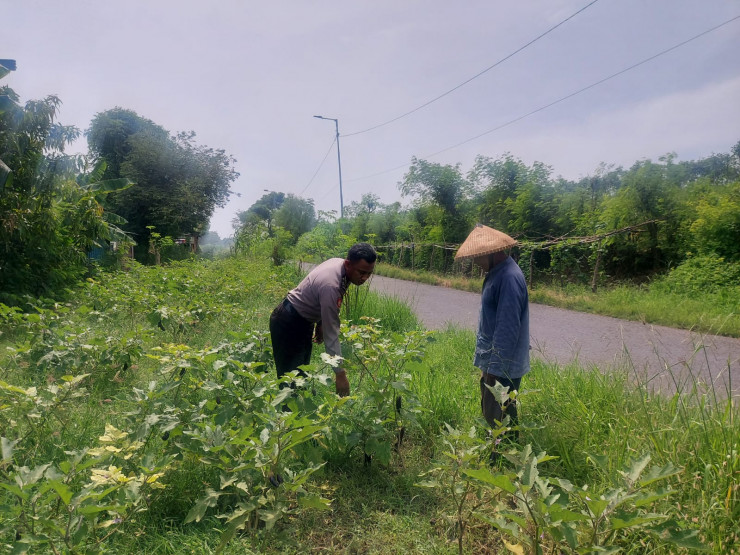 Bhabinkamtibmas Dampingi Warga Wujudkan Swasembada Pangan, Dukung Implementasi Program Pusat