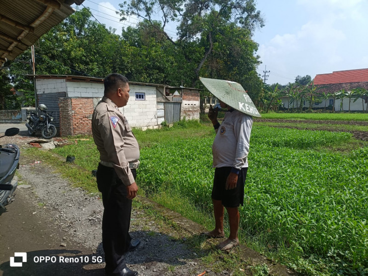 Anggota Polsek Sukodono Cek Ketahanan Pangan Program P2B Sayur Kangkung