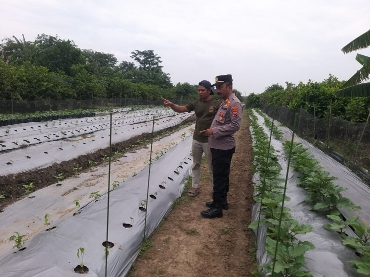 Kanit Binmas Polsek Taman Cek Lokasi Ketahanan Pangan Bergizi di Desa Sambibulu