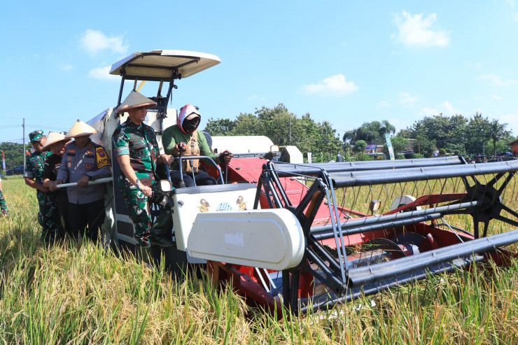 Dukung Ketahanan Pangan Kapolda Jatim Bersama Forkopimda Panen Raya Padi di Ngawi