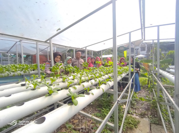 Ibu PKK dan Bhabinkamtibmas Tinjau Perkembangan Pokcay Hidroponik di Desa Kureksari Waru