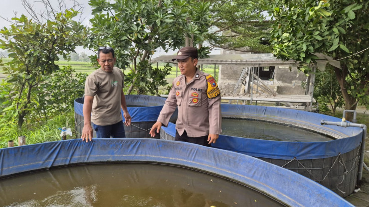 Bhabinkamtibmas Tanjungsari Dukung Warga Budidaya Lele untuk Swasembada Pangan Mandiri