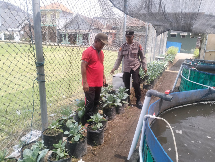 Polsek Buduran Optimalisasi Pengelolahan Lahan Peternakan dan Sayur untuk Ketahanan Pangan