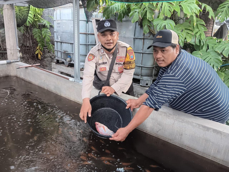 Bhabinkamtibmas Desa Ketajen Tinjau Peternakan Nila Merah, Dukung Ketahanan Pangan Masyarakat