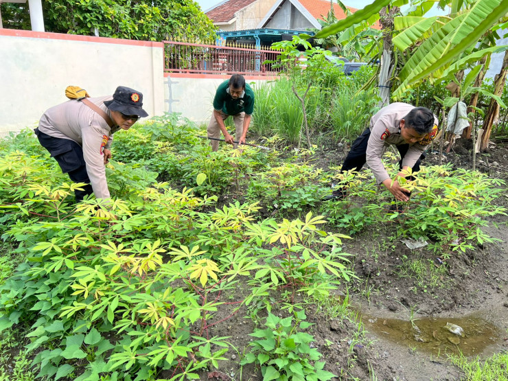 Kapolsek Krembung Cek Pekarangan Pangan Bergizi Desa Kandangan