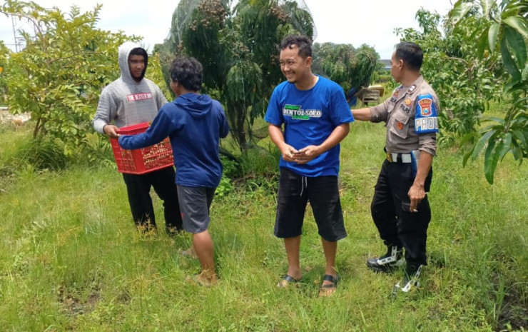 Bhabinkamtibmas Desa Kemantren Tinjau Lahan Sayuran Warga, Dukung Swasembada Pangan Mandiri