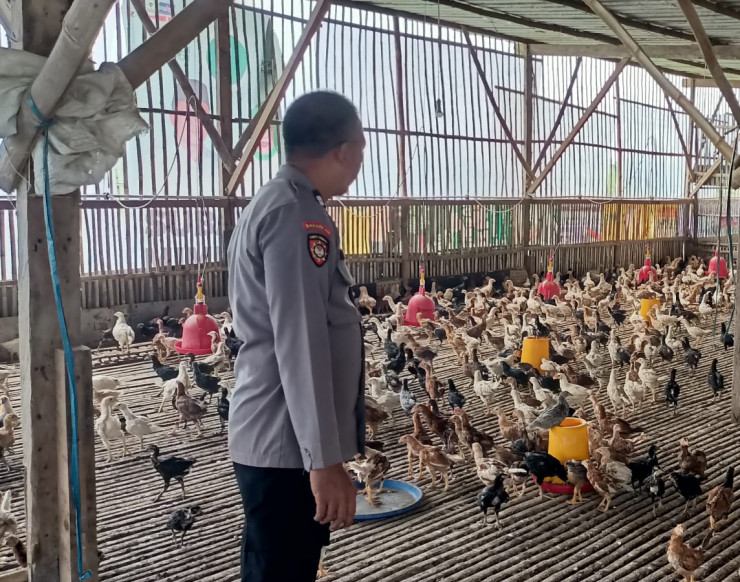 Bhabinkamtibmas Desa Mulyodadi Dukung Ketahanan Pangan Lewat Tinjauan Peternakan Warga