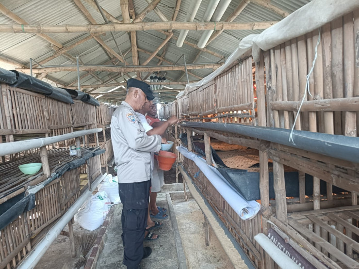 Peternakan Ayam Bumdes Kraton Diharapkan Dukung Ketahanan Pangan Polresta Sidoarjo