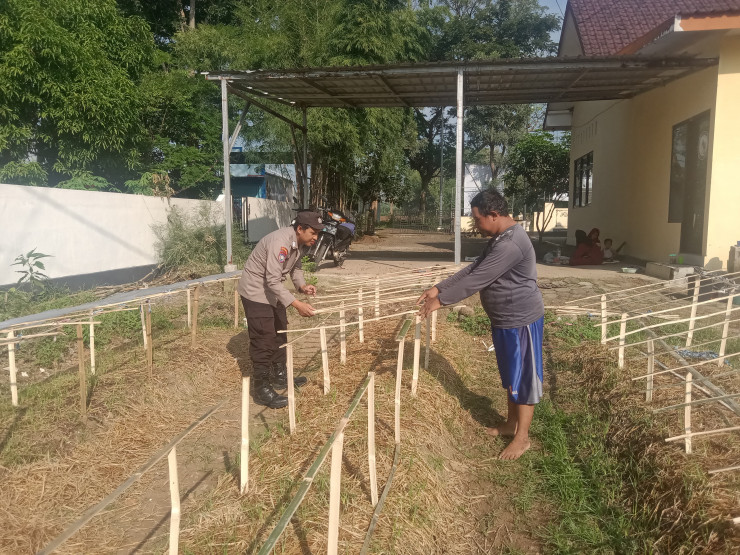 Gelorakan Swasembada Pangan Polisi Tanam Cabe di Lahan Polsek Tamankrocok Bondowoso