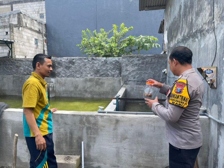 Budidaya Ikan Lele, Langkah Nyata Wujudkan Swasembada Pangan di Desa Wadungasri