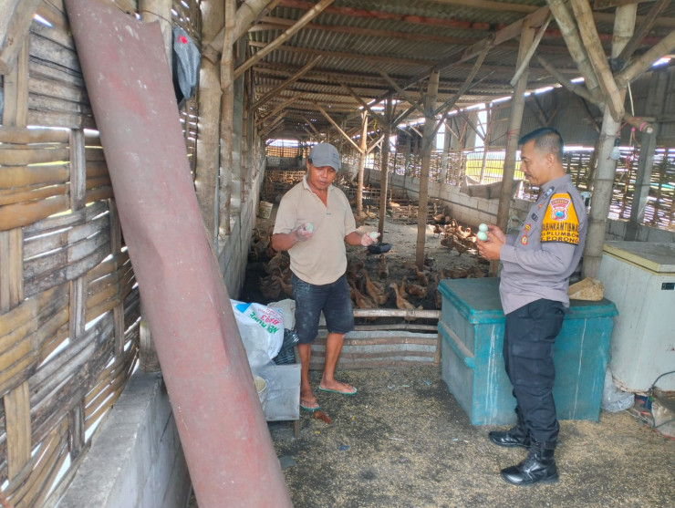 Pengecekan Program Ketahanan Pangan di Plumbon, Bhabinkamtibmas Motivasi Peternakan Bebek Petelur