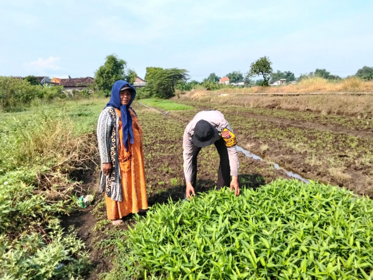 Polsek Balongbendo Patroli Ketahanan Pangan, Ajak Petani Dukung Program Asta Cita Presiden