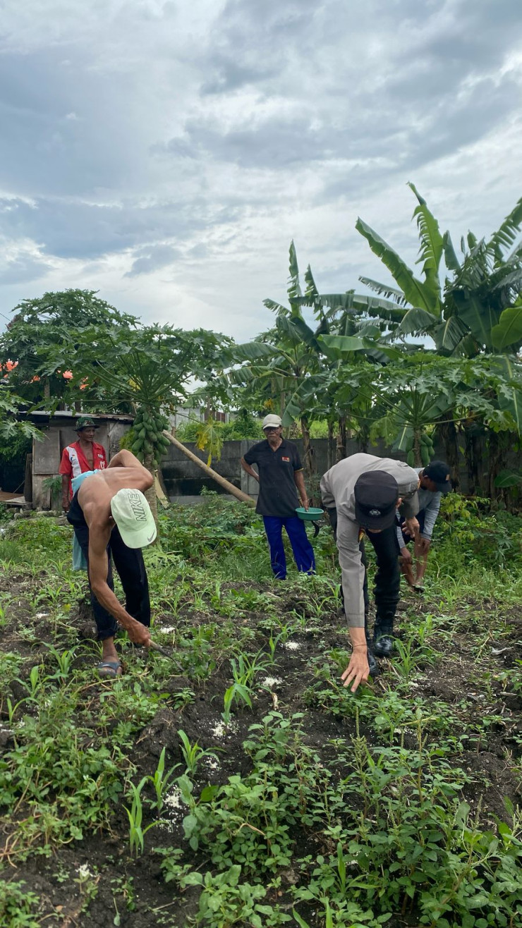 Bhabinkamtibmas Desa Janti Berikan Edukasi Perawatan Benih Sayuran untuk Dukung Ketahanan Pangan