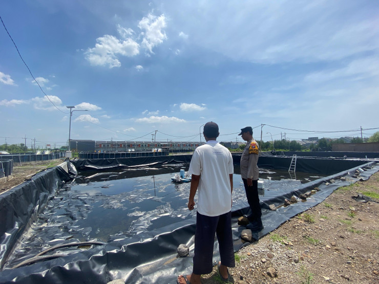 Polsek Sedati Polresta Sidoarjo Lakukan Pengecekan Budidaya Udang Intensif di Desa Banjar Kemuning