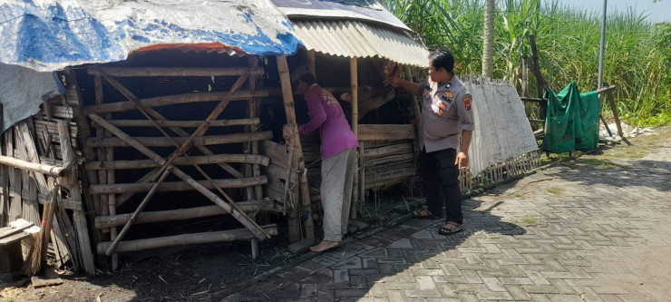 Kanit Binmas Polsek Prambon Himbau Peternak Kambing Jaga Kesehatan Hewan Kurban Jelang Idul Adha